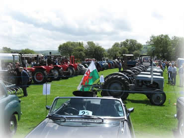 A great turnout